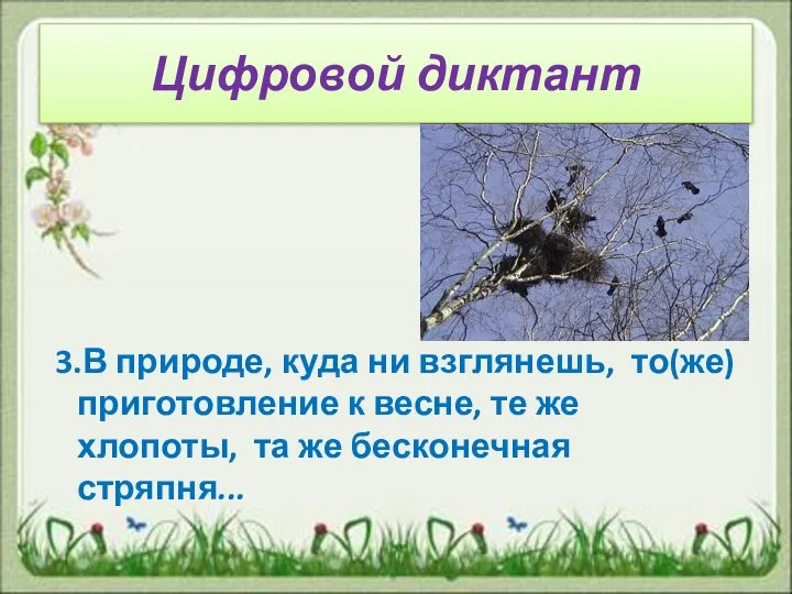 Цифровой диктант 3.В природе, куда ни взглянешь, то(же) приготовление к весне, те