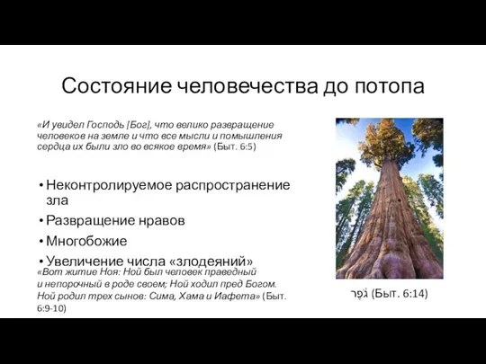 Состояние человечества до потопа «И увидел Господь [Бог], что велико развращение человеков