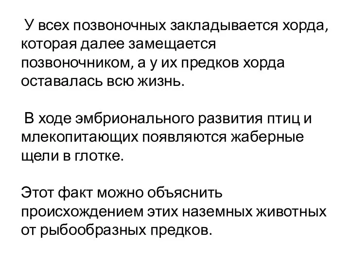 У всех позвоночных закладывается хорда, которая далее замещается позвоночником, а у их