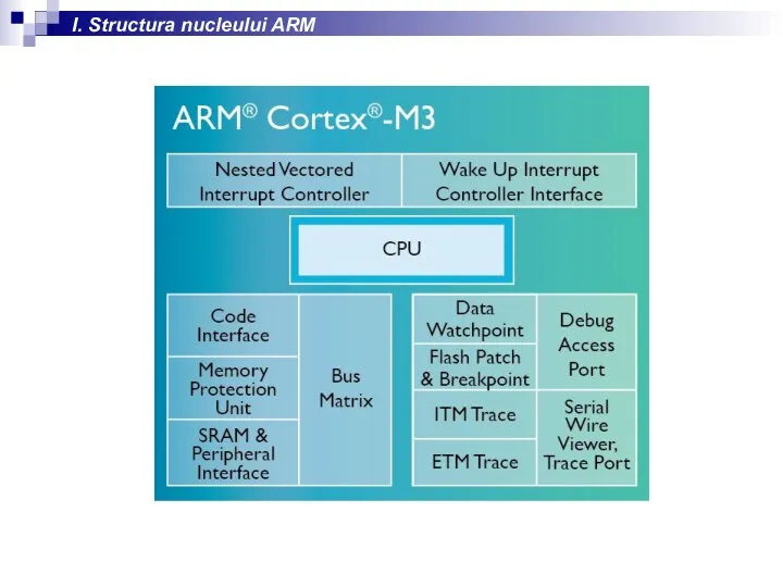 I. Structura nucleului ARM