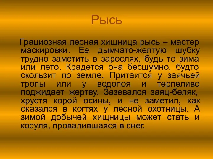 Рысь Грациозная лесная хищница рысь – мастер маскировки. Ее дымчато-желтую шубку трудно