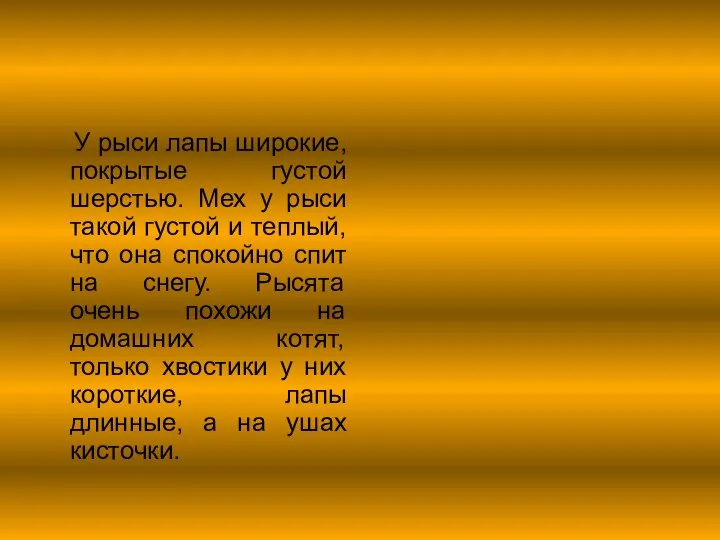 У рыси лапы широкие, покрытые густой шерстью. Мех у рыси такой густой