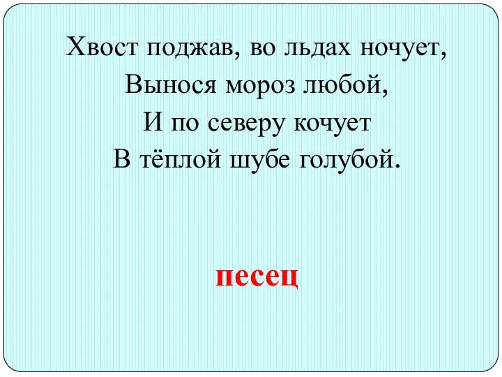 Хвост поджав, во льдах ночует, Вынося мороз любой, И по северу кочует