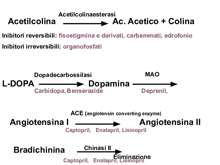 Acetilcolina Ac. Acetico + Colina Acetilcolinaesterasi Inibitori reversibili: fisostigmina e derivati, carbammati,