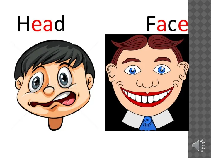 Head Face