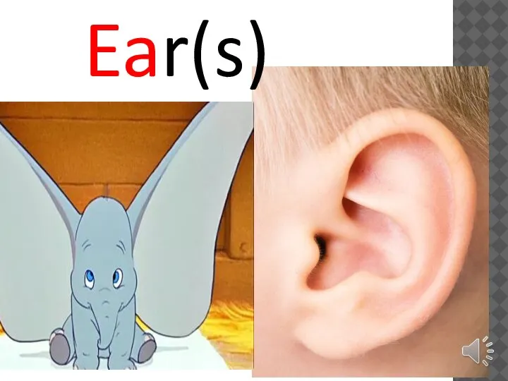 Ear(s)