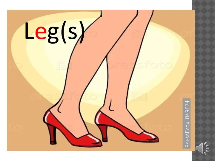 Leg(s)