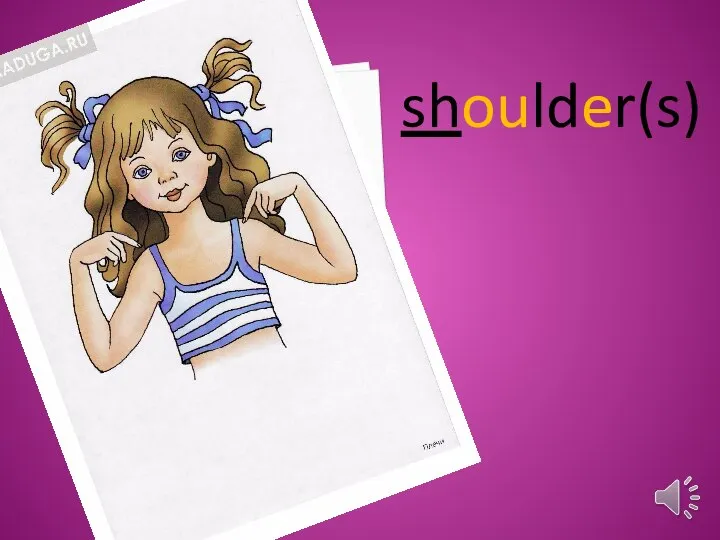 shoulder(s)