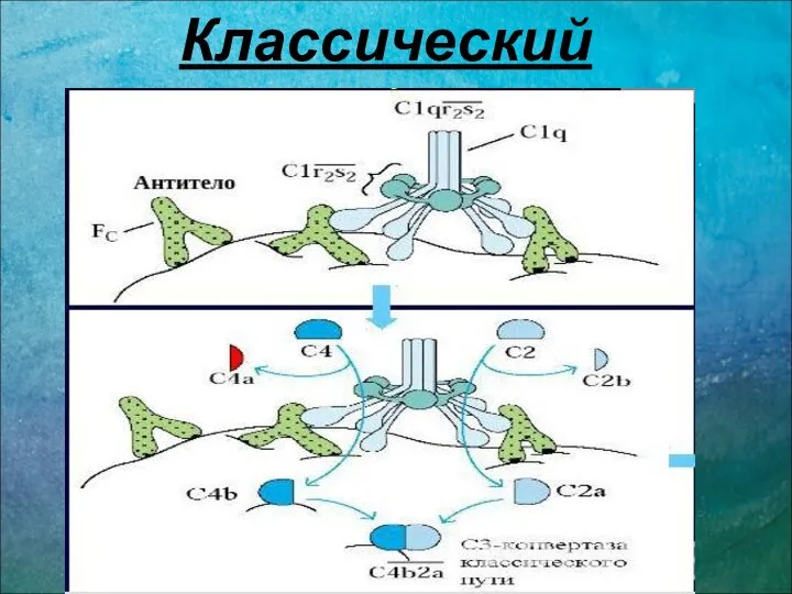 Классический путь