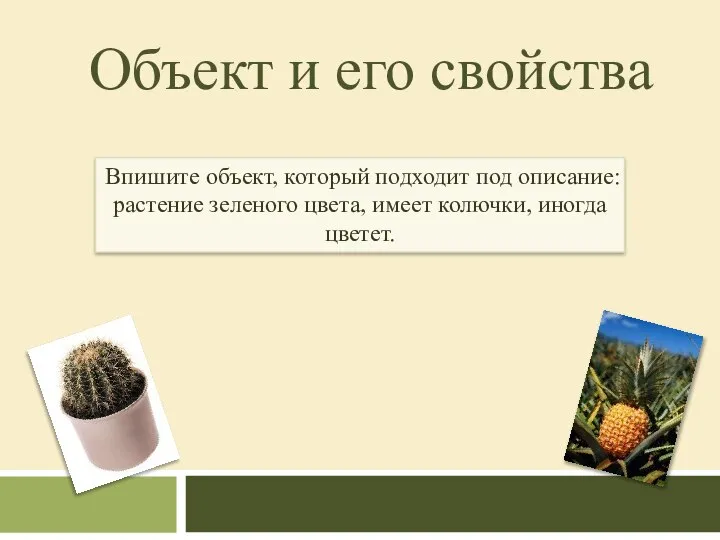 Объект и его свойства Впишите объект, который подходит под описание: растение зеленого