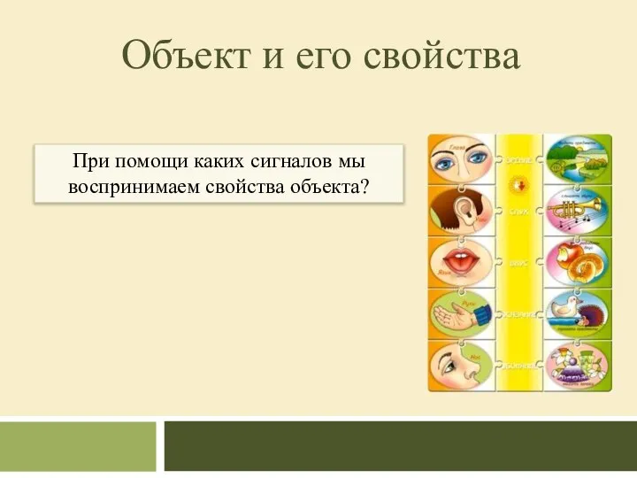 Объект и его свойства При помощи каких сигналов мы воспринимаем свойства объекта?