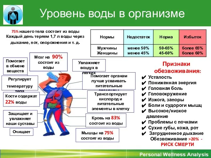 Уровень воды в организме 75% нашего тела состоит из воды Каждый день