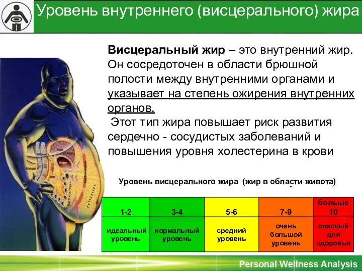 Уровень внутреннего (висцерального) жира Висцеральный жир – это внутренний жир. Он сосредоточен