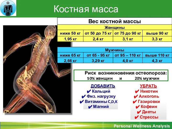 Костная масса ДОБАВИТЬ Кальций Физ. нагрузку Витамины C,D,K Магний УБРАТЬ Никотин Алкоголь