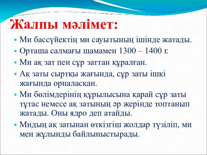 Жалпы мәлімет: Ми бассүйектің ми сауытының ішінде жатады. Орташа салмағы шамамен 1300