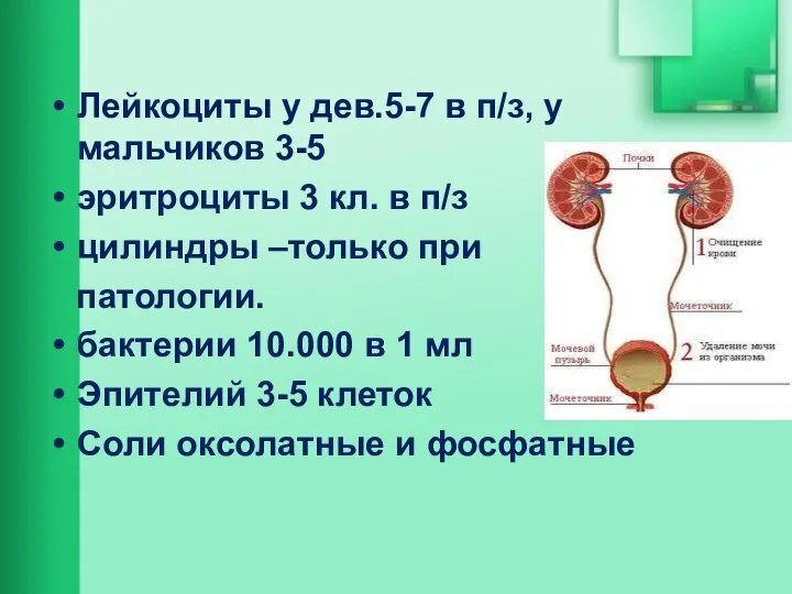 Лейкоциты у дев.5-7 в п/з, у мальчиков 3-5 эритроциты 3 кл. в