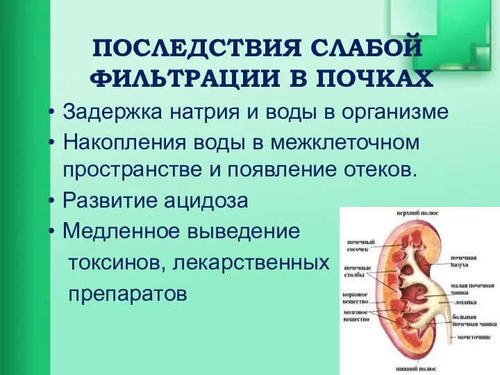 ПОСЛЕДСТВИЯ СЛАБОЙ ФИЛЬТРАЦИИ В ПОЧКАХ Задержка натрия и воды в организме Накопления