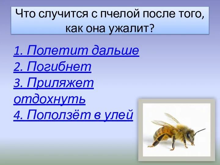 Что случится с пчелой после того, как она ужалит? 1. Полетит дальше
