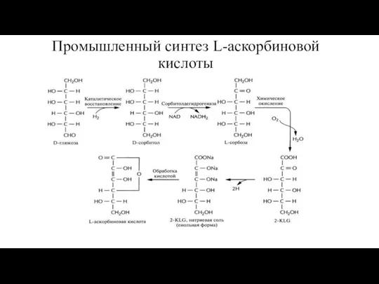 Промышленный синтез L-аскорбиновой кислоты