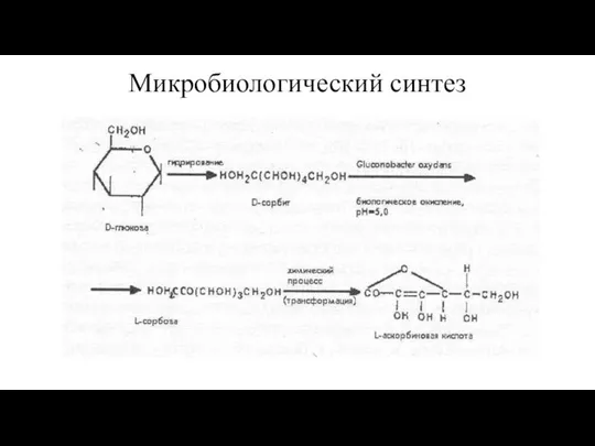 Микробиологический синтез