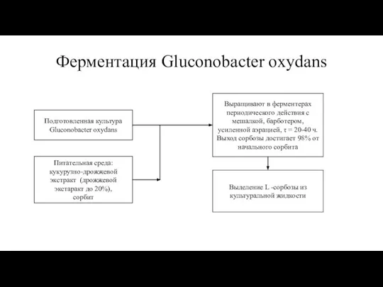 Ферментация Gluconobacter oxydans Выращивают в ферментерах периодического действия с мешалкой, барботером, усиленной