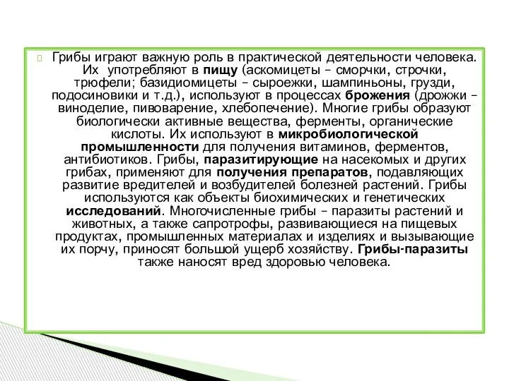 Грибы играют важную роль в практической деятельности человека. Их употребляют в пищу