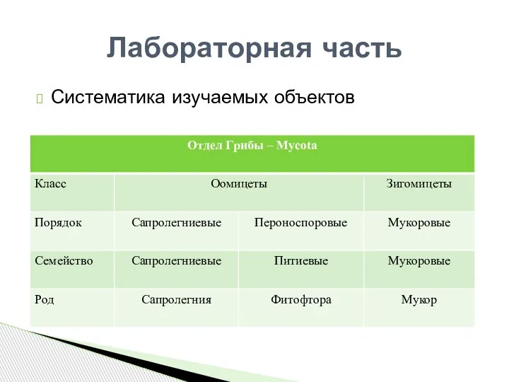 Систематика изучаемых объектов Лабораторная часть