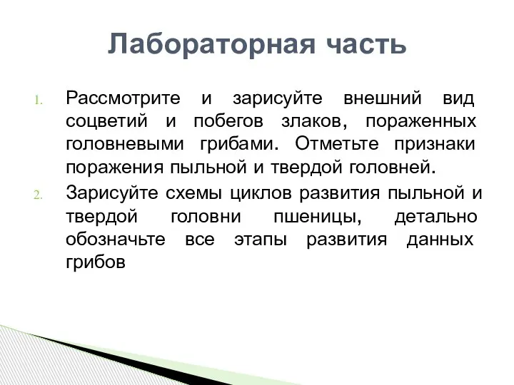 Рассмотрите и зарисуйте внешний вид соцветий и побегов злаков, пораженных головневыми грибами.