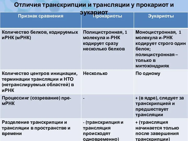 Отличия транскрипции и трансляции у прокариот и эукариот