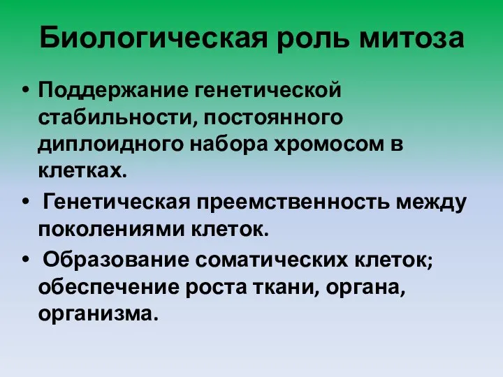 Биологическая роль митоза Поддержание генетической стабильности, постоянного диплоидного набора хромосом в клетках.