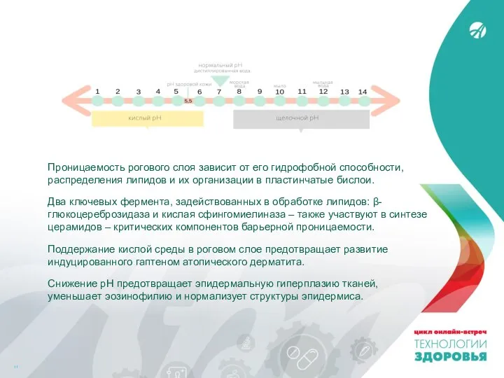 Проницаемость рогового слоя зависит от его гидрофобной способности, распределения липидов и их