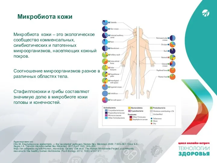 Адаптировано из: Otto M. Staphylococcus epidermidis — the ‘accidental’ pathogen. Nature Rev.