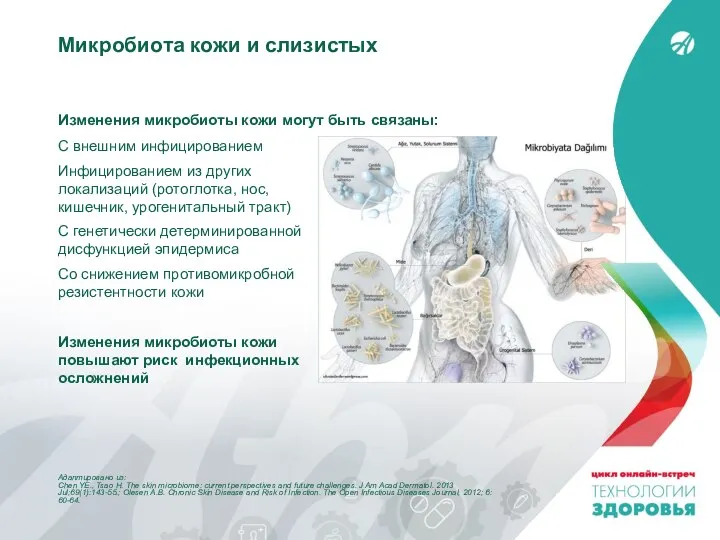 Адаптировано из: Chen YE., Tsao H. The skin microbiome: current perspectives and