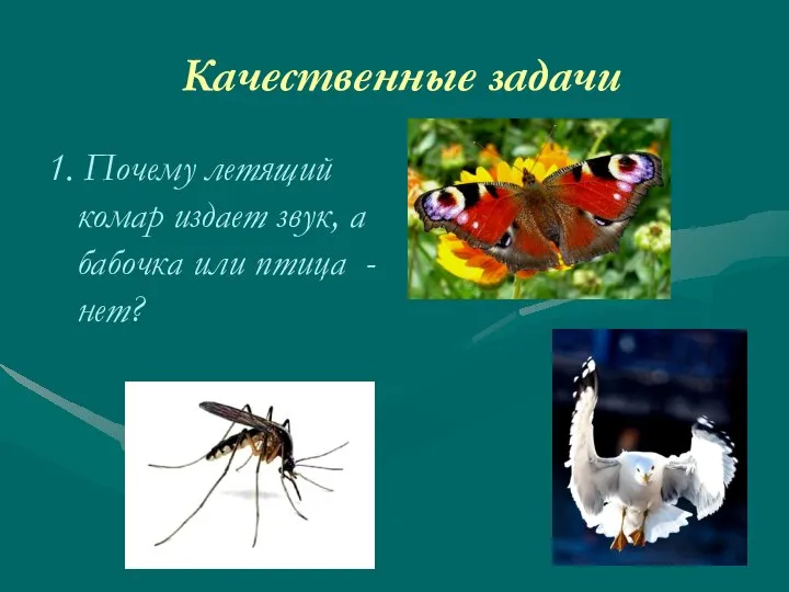 Качественные задачи 1. Почему летящий комар издает звук, а бабочка или птица - нет?
