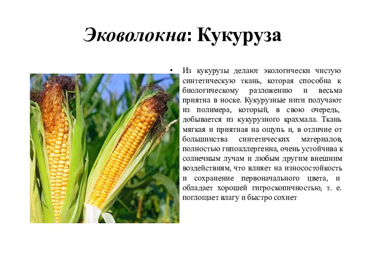 Эковолокна: Кукуруза Из кукурузы делают экологически чистую синтетическую ткань, которая способна к