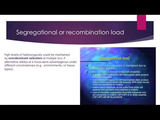 Segregational or recombination load high levels of heterozygosity could be maintained by