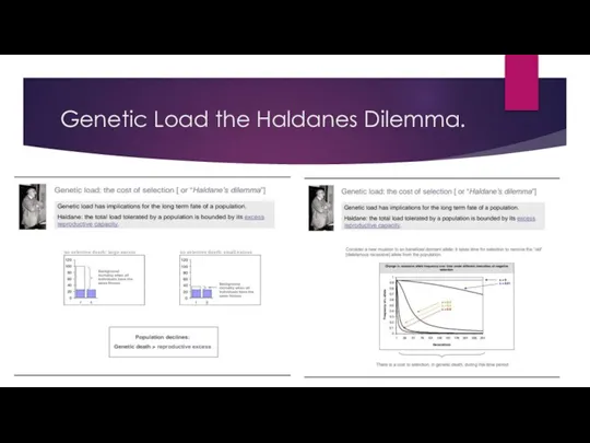 Genetic Load the Haldanes Dilemma.