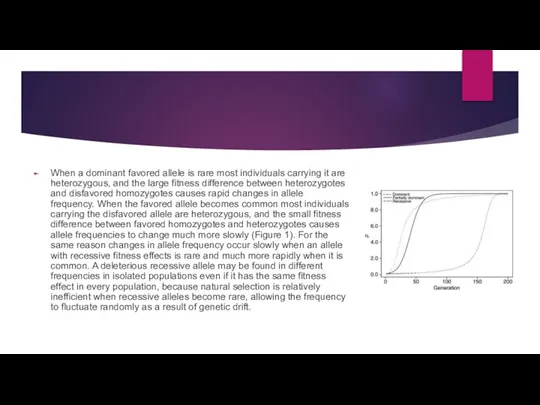 When a dominant favored allele is rare most individuals carrying it are