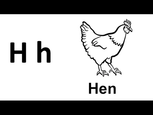 Hen H h