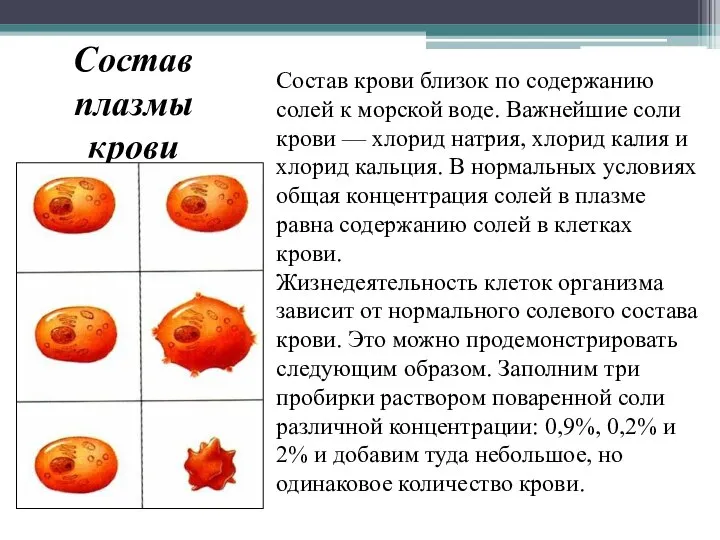 Состав плазмы крови Состав крови близок по содержанию солей к морской воде.