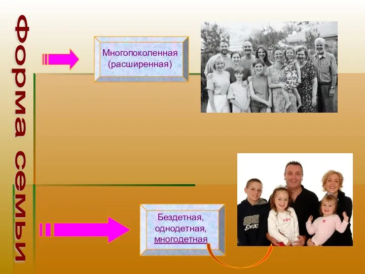 Форма семьи Многопоколенная (расширенная) Бездетная, однодетная, многодетная