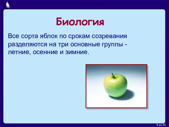 Биология Все сорта яблок по срокам созревания разделяются на три основные группы