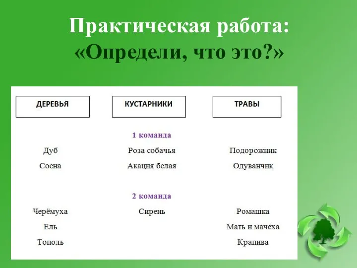 Практическая работа: «Определи, что это?»