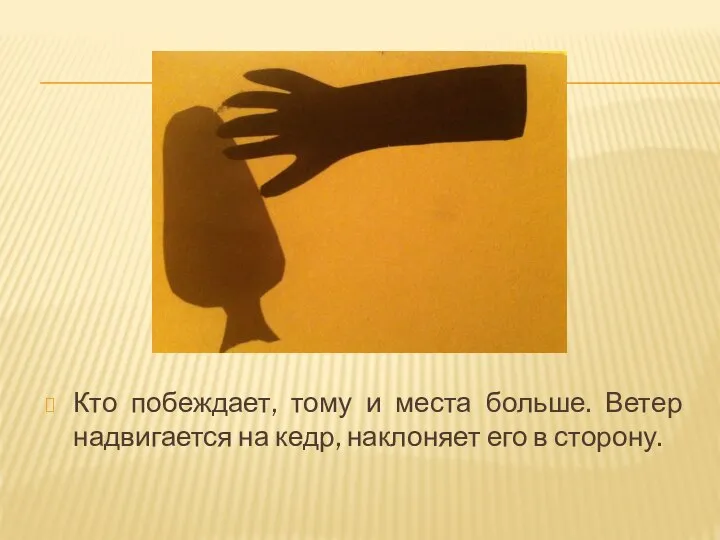 Кто побеждает, тому и места больше. Ветер надвигается на кедр, наклоняет его в сторону.