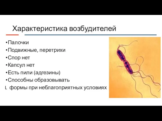 Характеристика возбудителей Палочки Подвижные, перетрихи Спор нет Капсул нет Есть пили (адгезины)