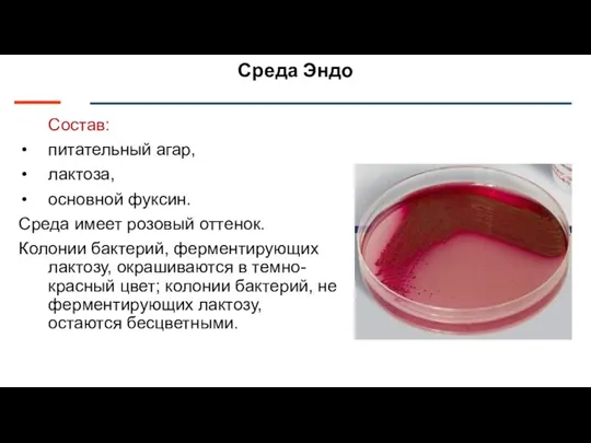 Среда Эндо Состав: питательный агар, лактоза, основной фуксин. Среда имеет розовый оттенок.