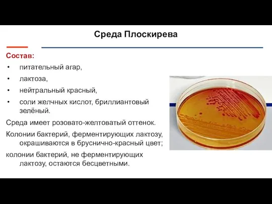 Среда Плоскирева Состав: питательный агар, лактоза, нейтральный красный, соли желчных кислот, бриллиантовый