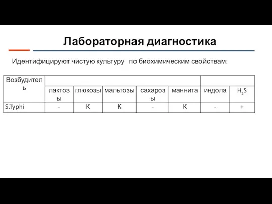 Лабораторная диагностика Идентифицируют чистую культуру по биохимическим свойствам: