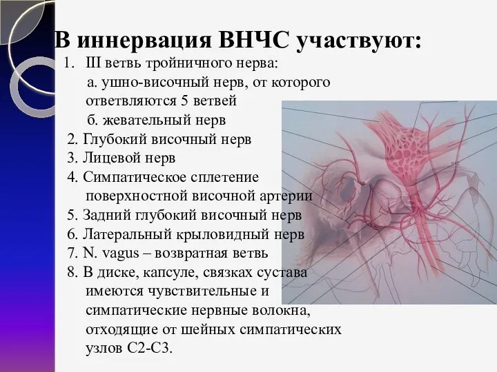 В иннервация ВНЧС участвуют: III ветвь тройничного нерва: а. ушно-височный нерв, от