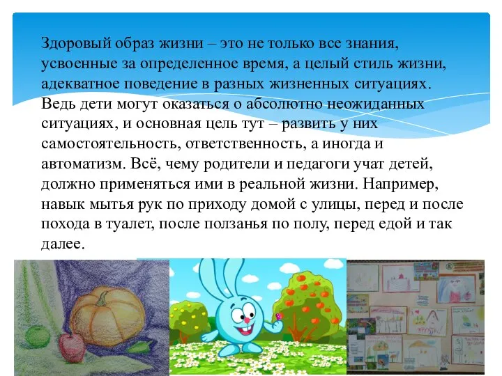 Здоровый образ жизни – это не только все знания, усвоенные за определенное